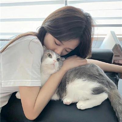 百鸟争春